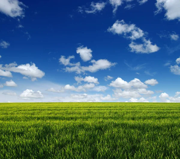 Grönt Fält Och Blå Himmel Med Moln — Stockfoto