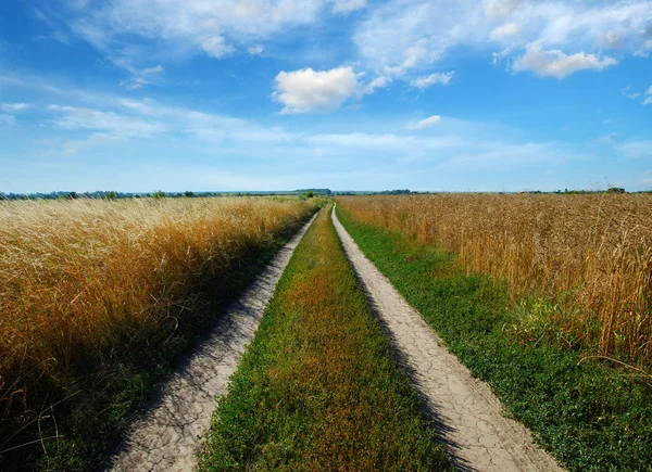 Route Dans Champ Ciel Bleu Avec Des Nuages — Photo