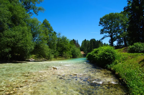 Paisaje Con Montañas Bosque Río — Foto de Stock