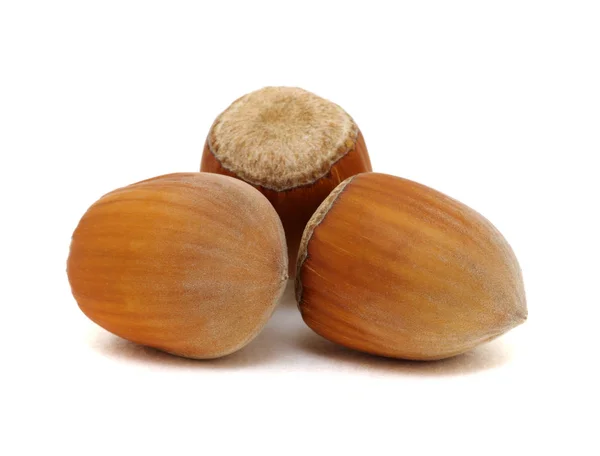 Closeup Hazelnuts Isolated White Background — Stock Photo, Image