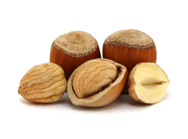 Hazelnut Group Many Isolated White Background — Stok Foto