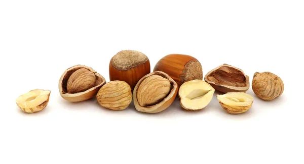 Hazelnut Group Many Isolated White Background — Stock Photo, Image