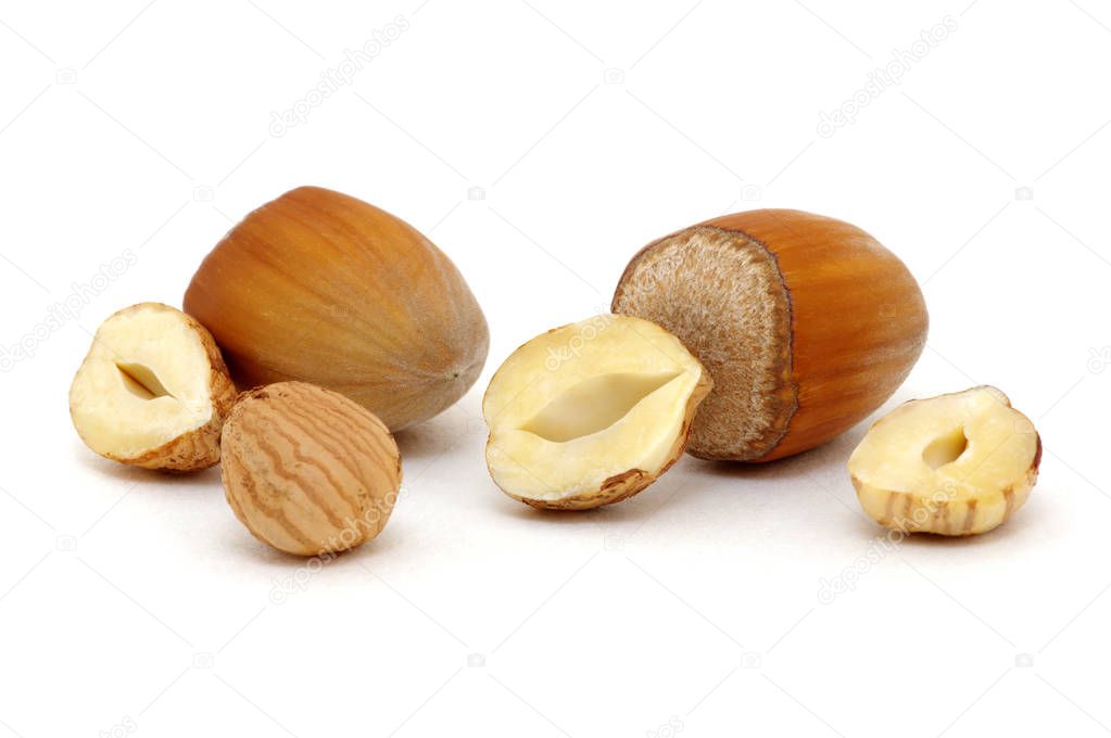 Hazelnut group many isolated on white background.