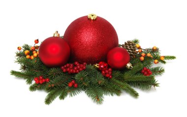 Beyaz arka planda çam dallarında kırmızı noel topları
