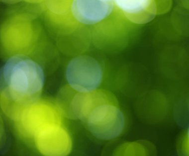 yeşil bokeh soyut ışık arkaplanı