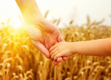 çocuk ve babası buğday alanında 