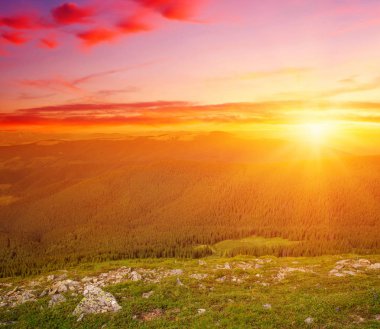 Güneşli dağ manzarası