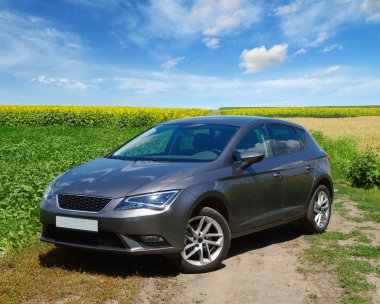 Ayçiçeği tarlası araba