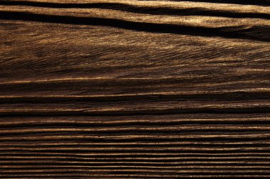 closeup arka plan ağaç doku