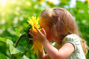 Yaz aylarında bir ayçiçeği sahada kokulu mutlu küçük kız.