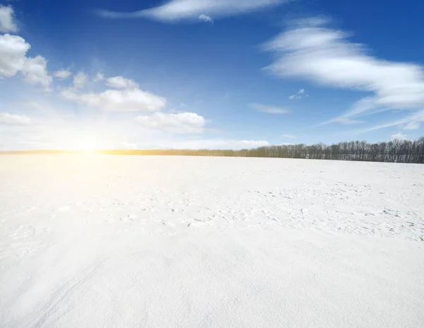 Winterlandschap Besneeuwde Velden Hemel Zon — Stockfoto