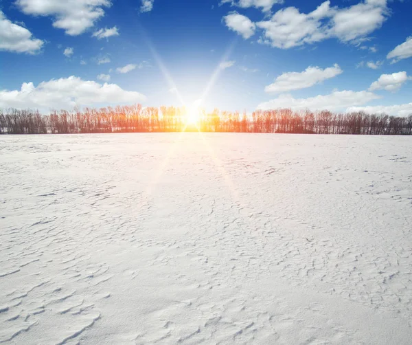 Zimní Krajina Zasněžená Pole Obloze Slunci — Stock fotografie