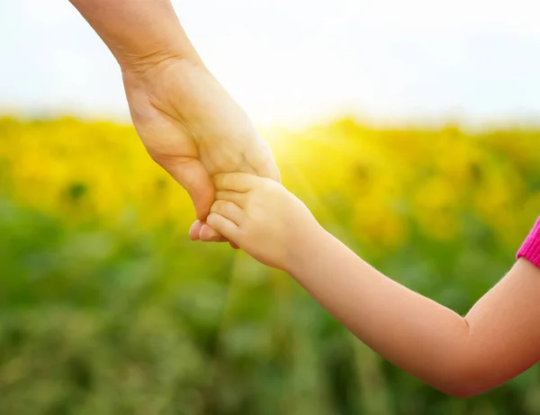 Hands Mother Daughter Holding Each Other Field — Stock Photo, Image