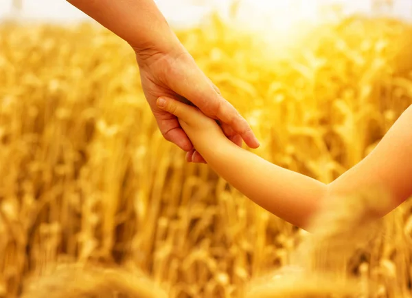 Mãos Mãe Filha Segurando Outro Campo — Fotografia de Stock