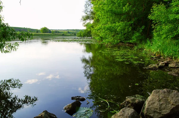 Paysage Avec Des Arbres Une Rivière — Photo