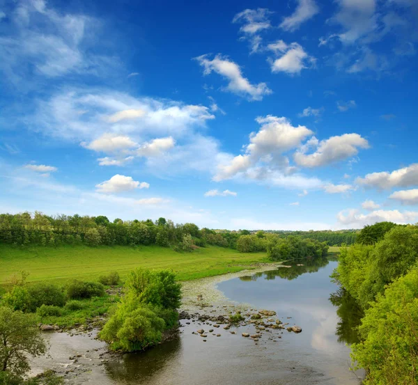 Paysage Avec Des Arbres Une Rivière — Photo