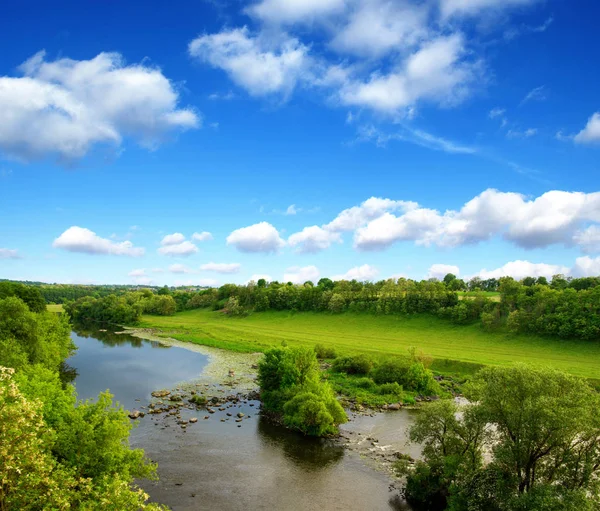 Landschap Met Bomen Een Rivier — Stockfoto