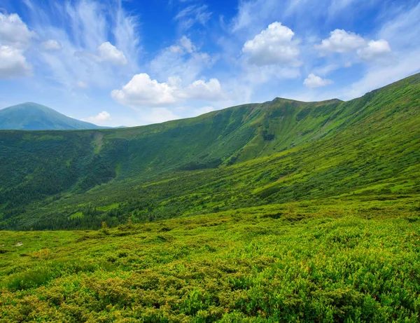 Paisaje Montaña Verano — Foto de Stock