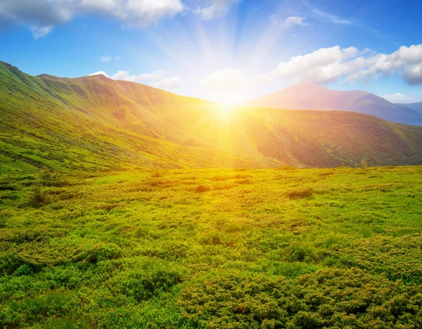 Bergslandskap Med Solen — Stockfoto