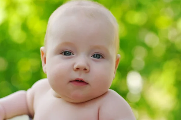 Retrato Bebé Niño Sobre Fondo Bokeh Verde —  Fotos de Stock