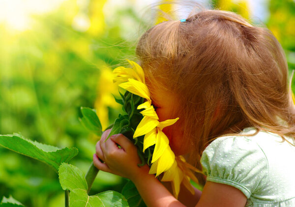 Happy little girl smelling a sunflower on the field in summer.