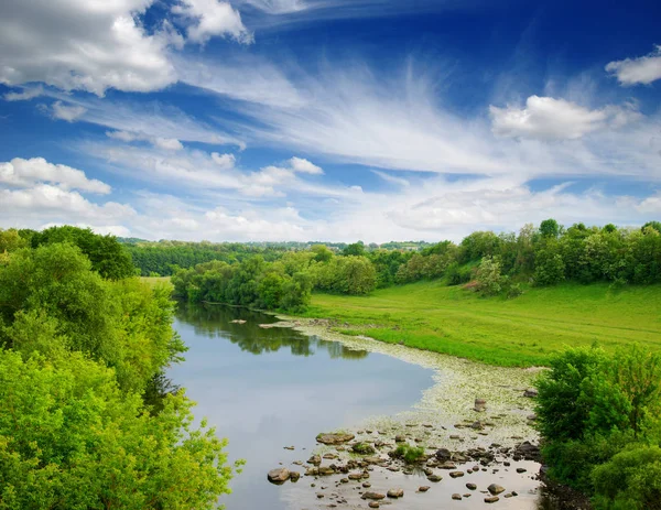 有树木和河流的风景 免版税图库照片