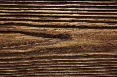 closeup arka plan ağaç doku