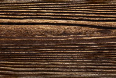 closeup arka plan ağaç doku