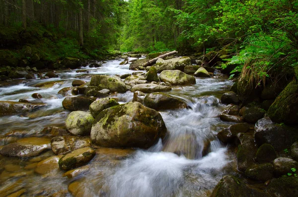 Rio Montanha Que Flui Através Floresta Verde Fluxo Madeira — Fotografia de Stock