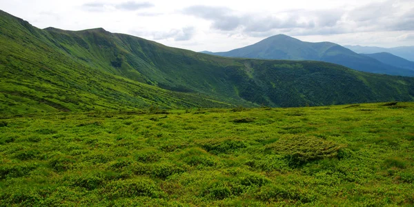 Paisaje Montaña Verano — Foto de Stock