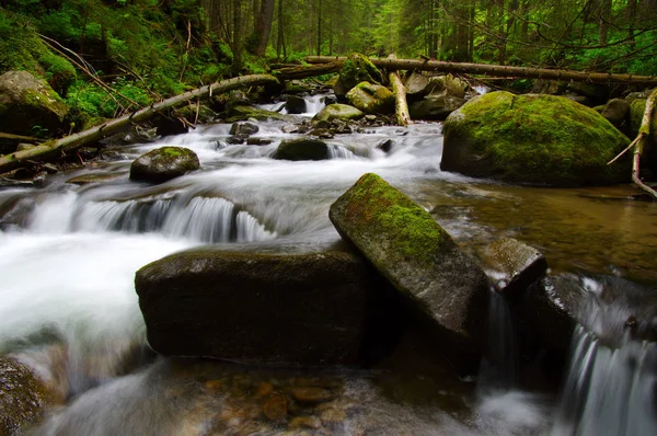 山川流过青翠的森林 树林里的溪流 — 图库照片
