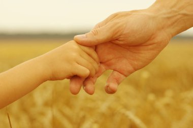 Baba ve kızı birbirlerine buğday sahada tutan eller