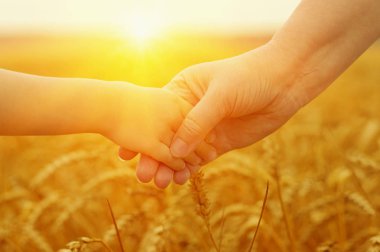 Güneşin üzerindeki anne ve kızın elleri. Birbirlerini buğday tarlasında tutuyorlar.