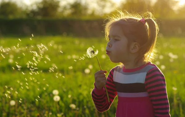 Karahindiba açık havada bahar fiel üfleme kız