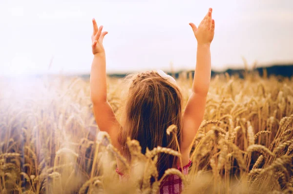 Gün batımını buğday alan kız.