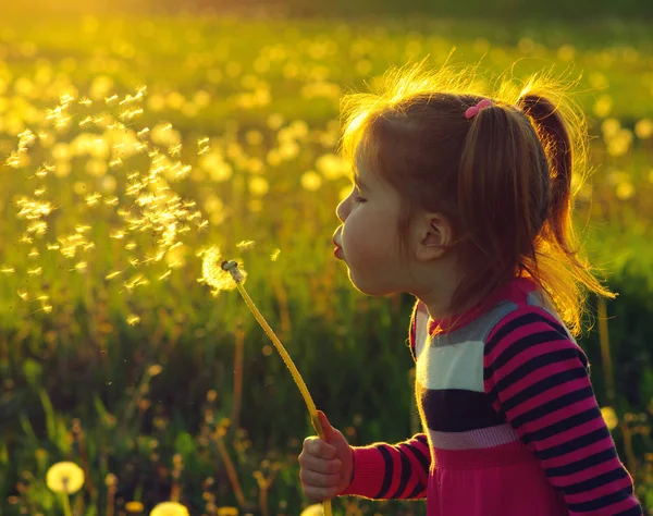 Karahindiba açık havada bahar fiel üfleme kız