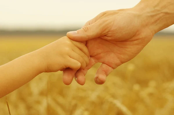 Руки Отца Дочери Держатся Друг Друга Пшеничном Поле — стоковое фото