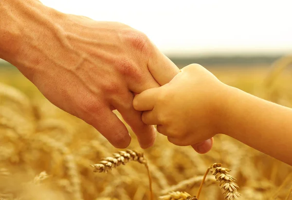 母と娘の麦畑にお互いを保持しての手 — ストック写真