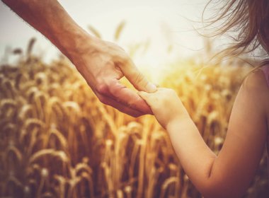 çocuk ve babası buğday alanında 