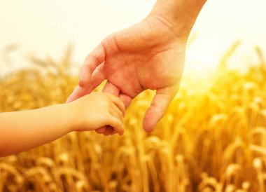 çocuk ve babası buğday alanında 