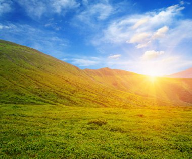 Güneşli dağ manzarası