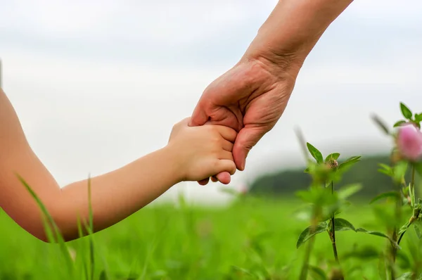 Mãos Mãe Filha Segurando Outro Campo — Fotografia de Stock