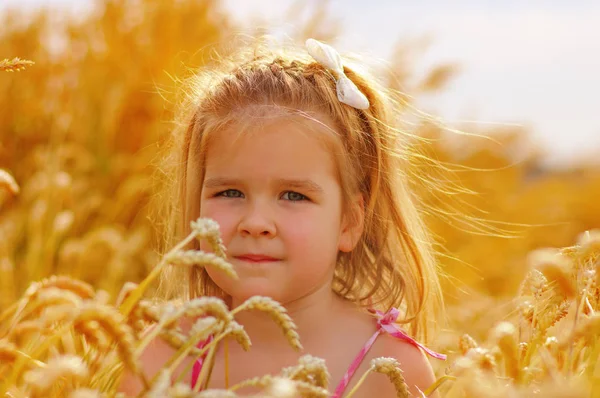 Девушка Пшеничном Поле — стоковое фото
