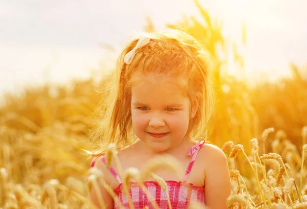 Девушка Пшеничном Поле — стоковое фото