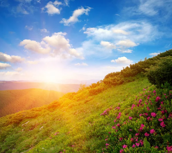 Paisaje Montaña Con Sol — Foto de Stock