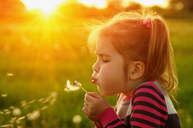 Kız bahar tarlasında karahindiba üflüyor.