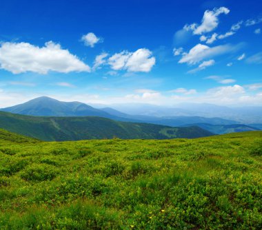 Yazın dağ manzarası