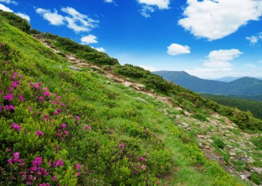 Yazın dağ manzarası