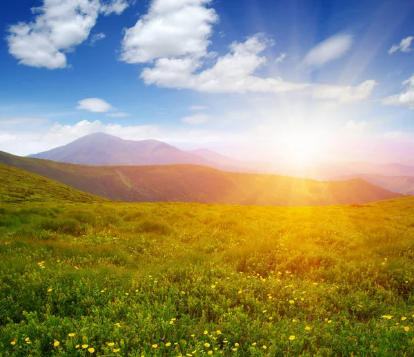 Paisaje Montaña Con Sol — Foto de Stock