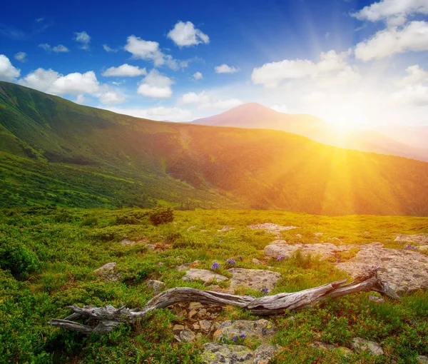 Paisagem Montanha Com Sol — Fotografia de Stock